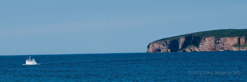 20100720_164237 Nikon D300.jpg - Bonaventure Island, off Perce, QC